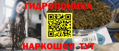 крисы Пугачёв