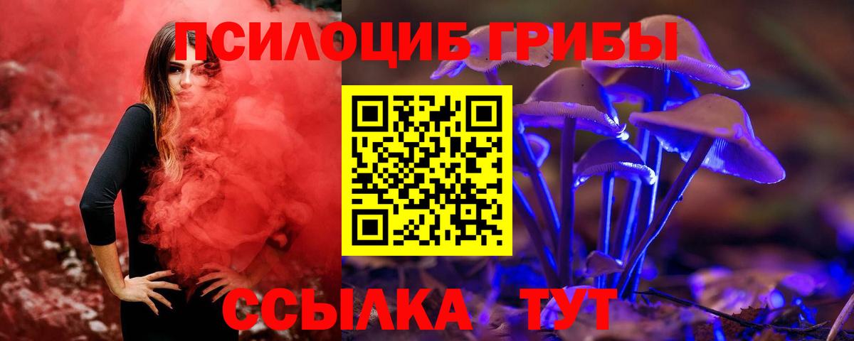 Галлюциногенные грибы GOLDEN TEACHER  Псилоцибиновые грибы GOLDEN TEACHER  Саратов  хочу наркоту  Вход с VPN 